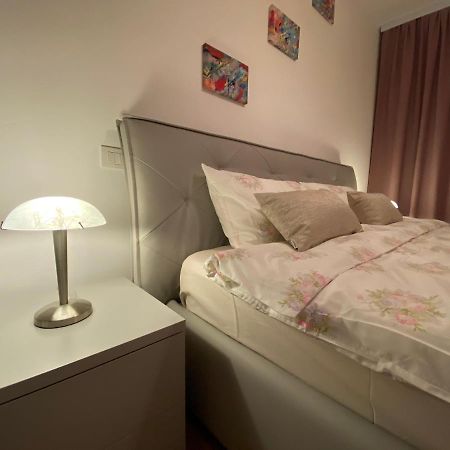 Central Apartment 蒂米什瓦拉 外观 照片