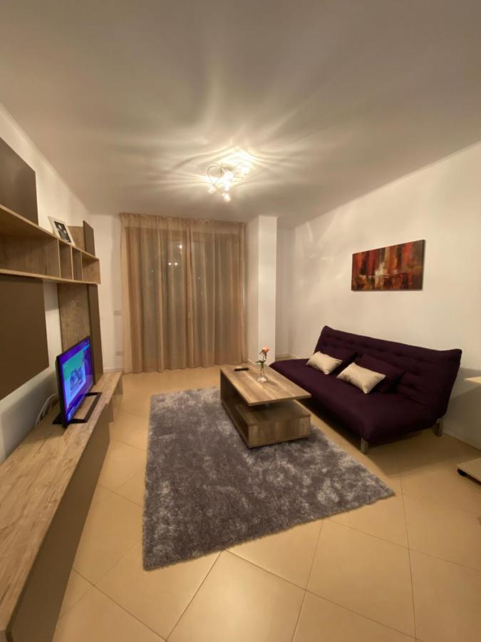 Central Apartment 蒂米什瓦拉 外观 照片