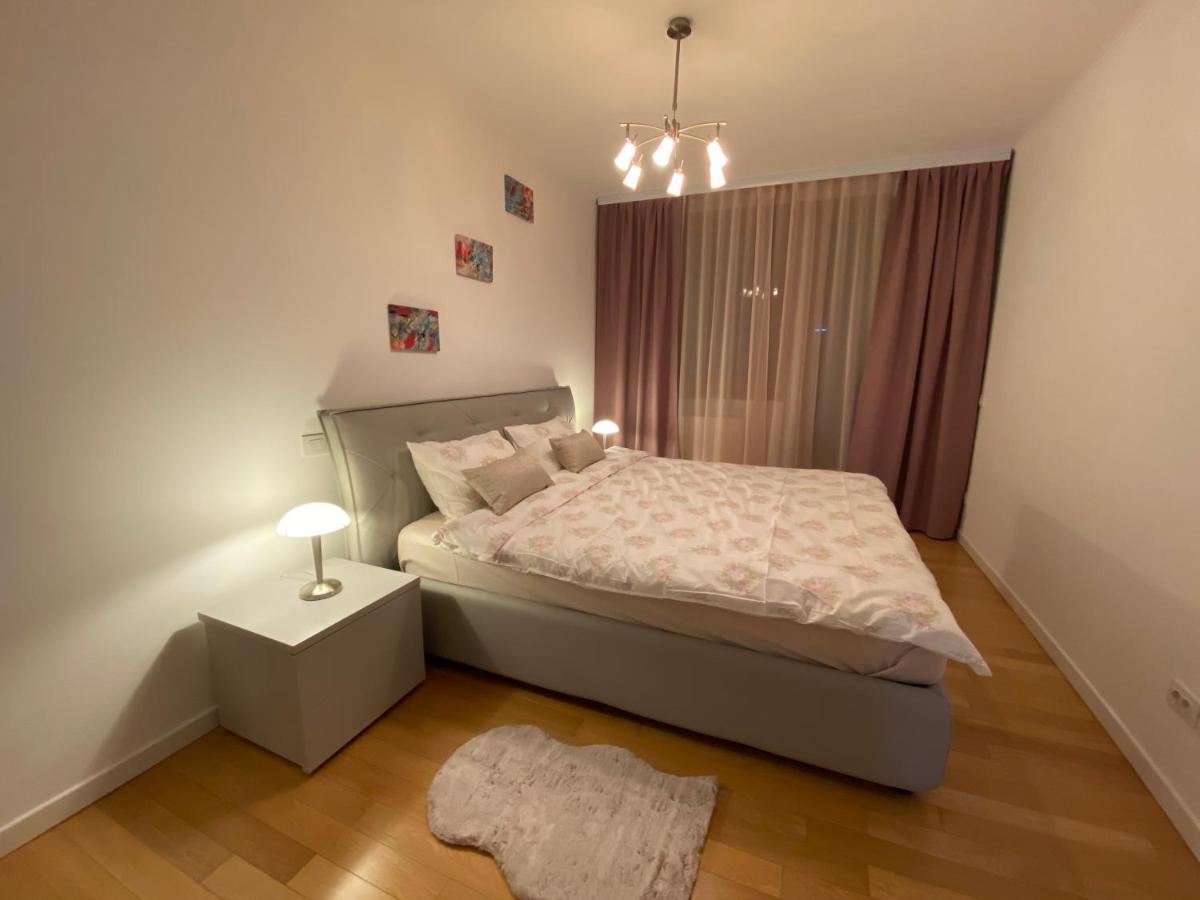 Central Apartment 蒂米什瓦拉 外观 照片
