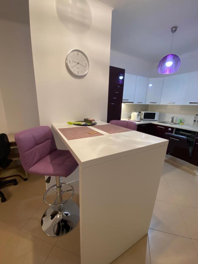 Central Apartment 蒂米什瓦拉 外观 照片
