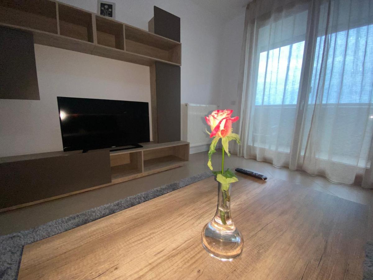 Central Apartment 蒂米什瓦拉 外观 照片