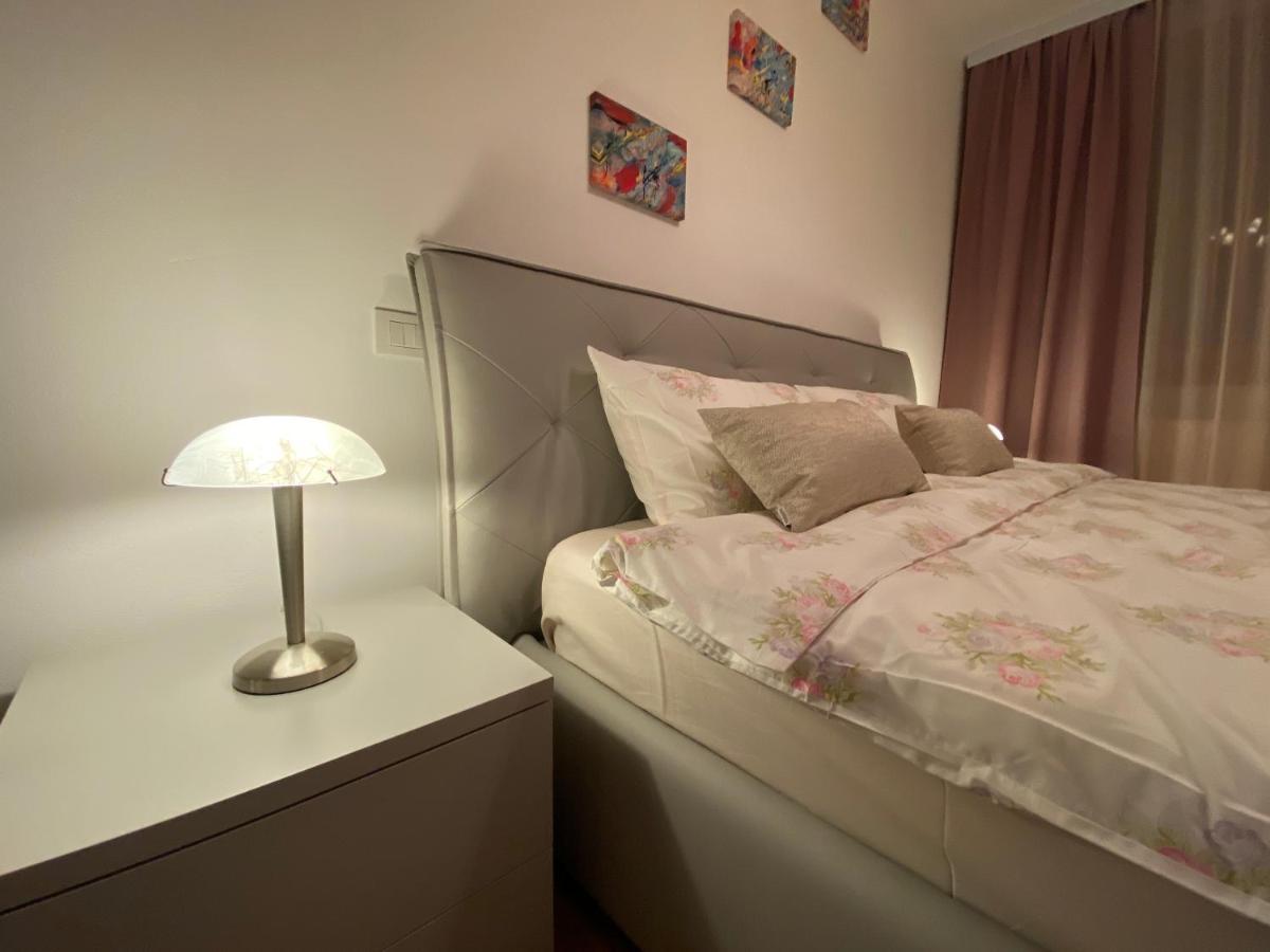 Central Apartment 蒂米什瓦拉 外观 照片