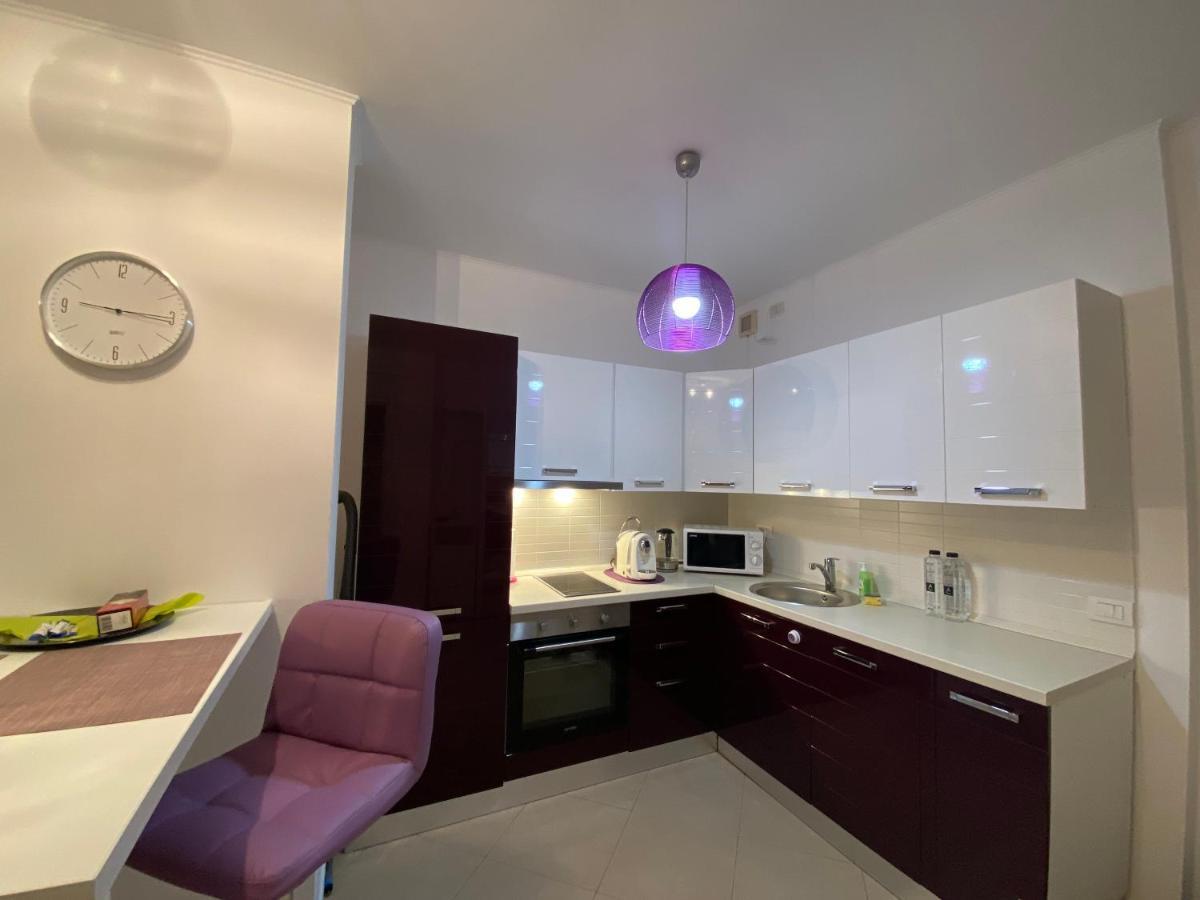Central Apartment 蒂米什瓦拉 外观 照片