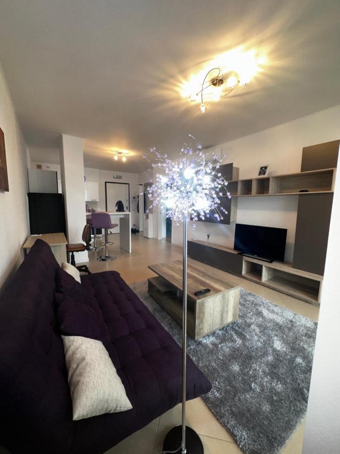 Central Apartment 蒂米什瓦拉 外观 照片