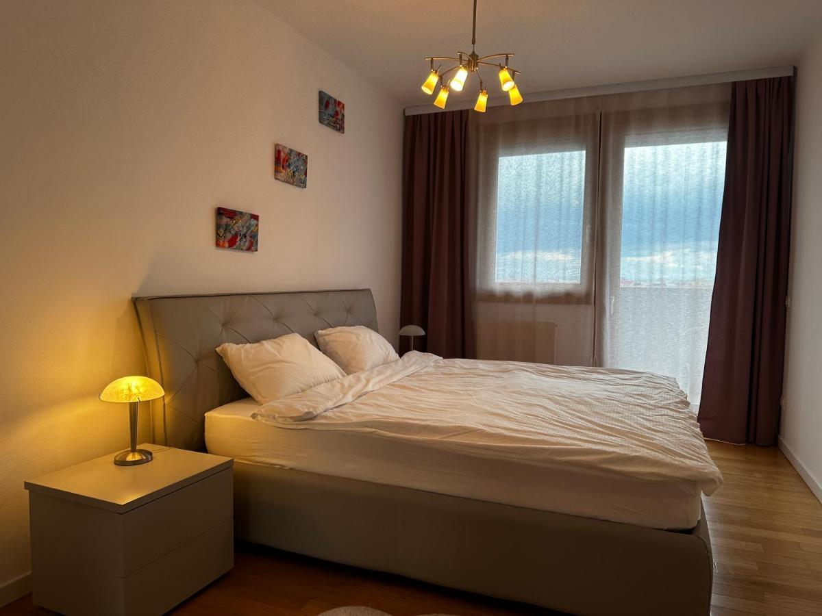Central Apartment 蒂米什瓦拉 外观 照片