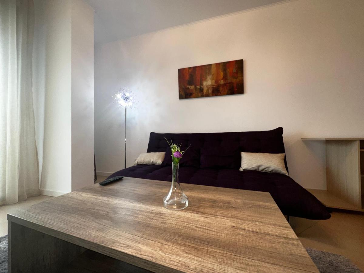 Central Apartment 蒂米什瓦拉 外观 照片