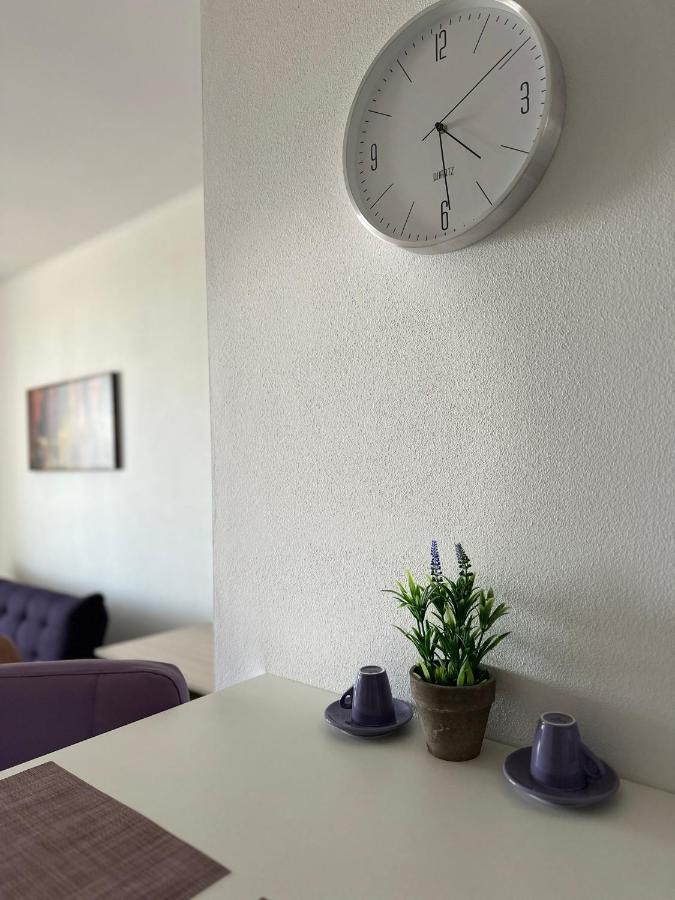 Central Apartment 蒂米什瓦拉 外观 照片