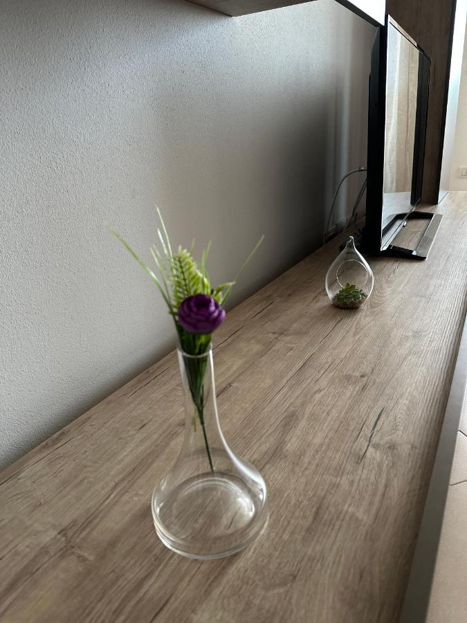 Central Apartment 蒂米什瓦拉 外观 照片