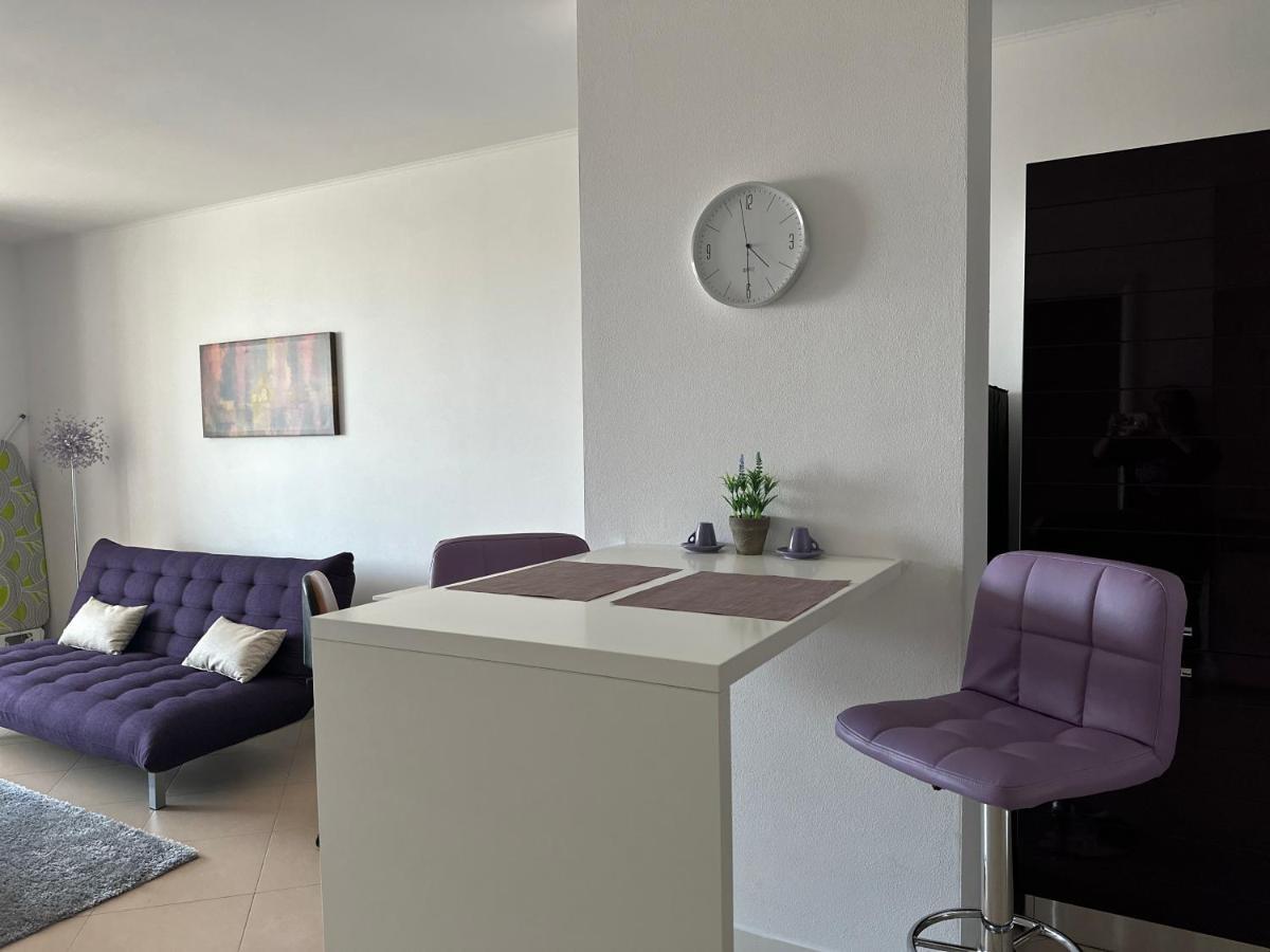 Central Apartment 蒂米什瓦拉 外观 照片