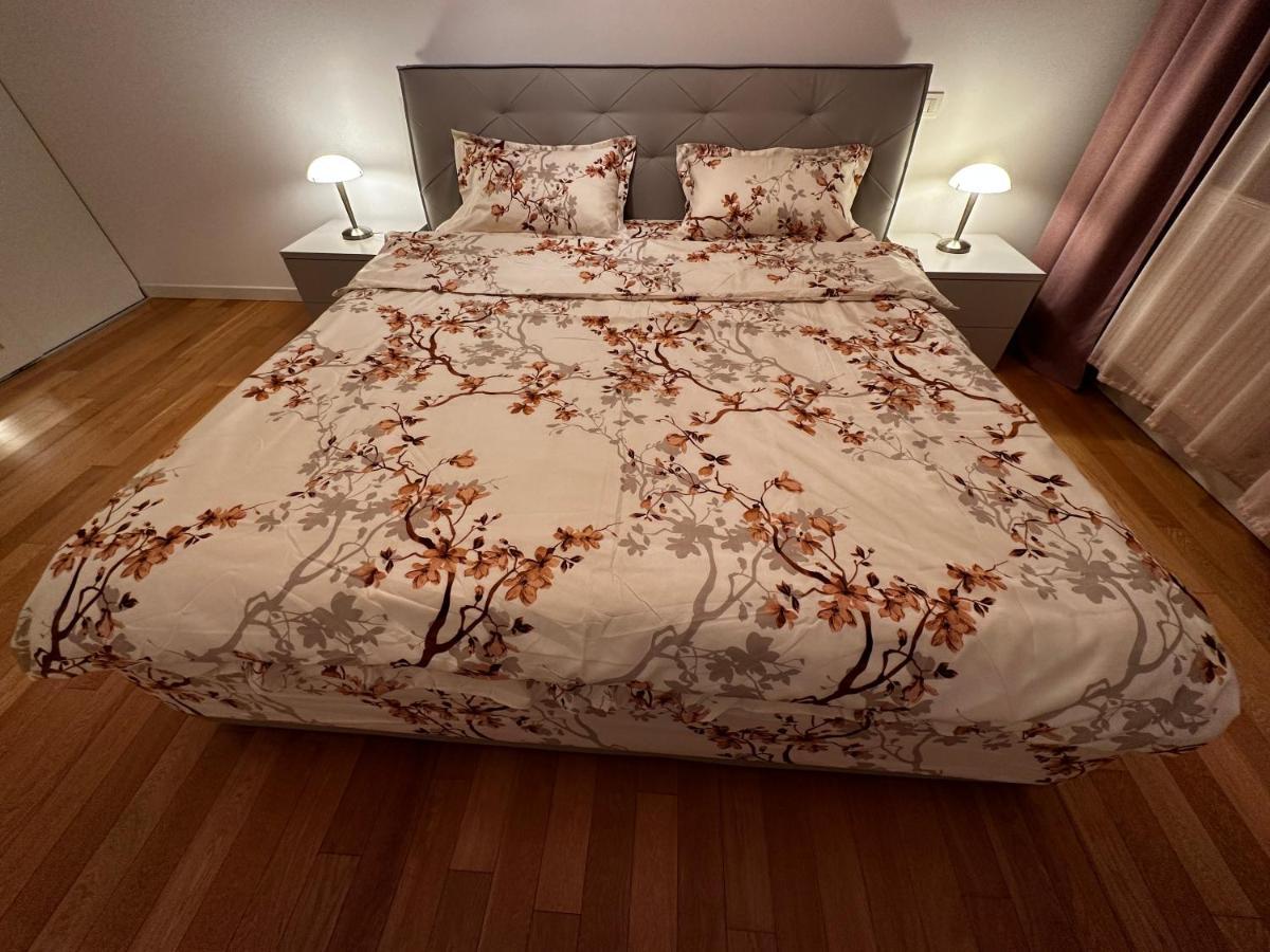 Central Apartment 蒂米什瓦拉 外观 照片
