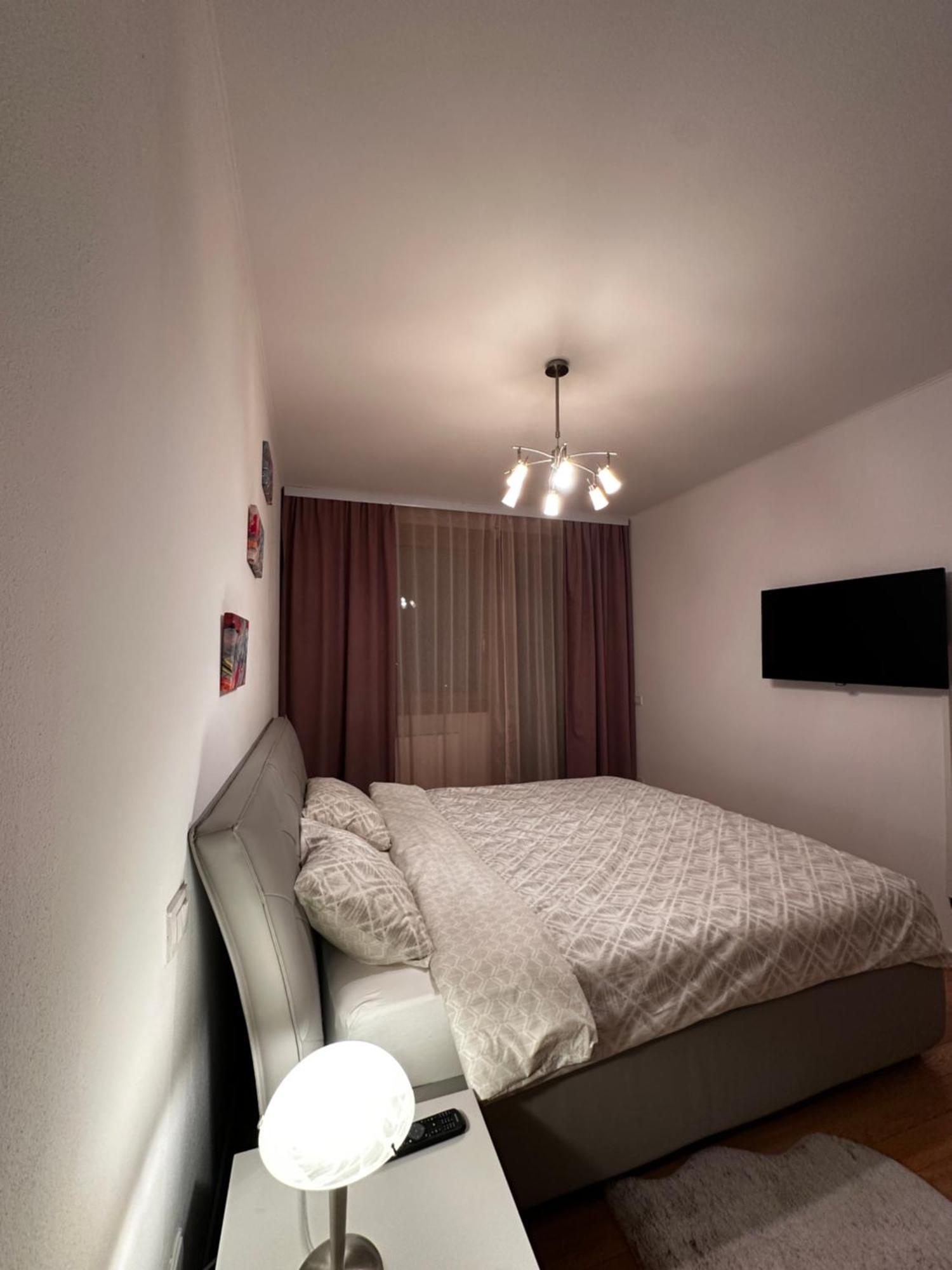 Central Apartment 蒂米什瓦拉 外观 照片