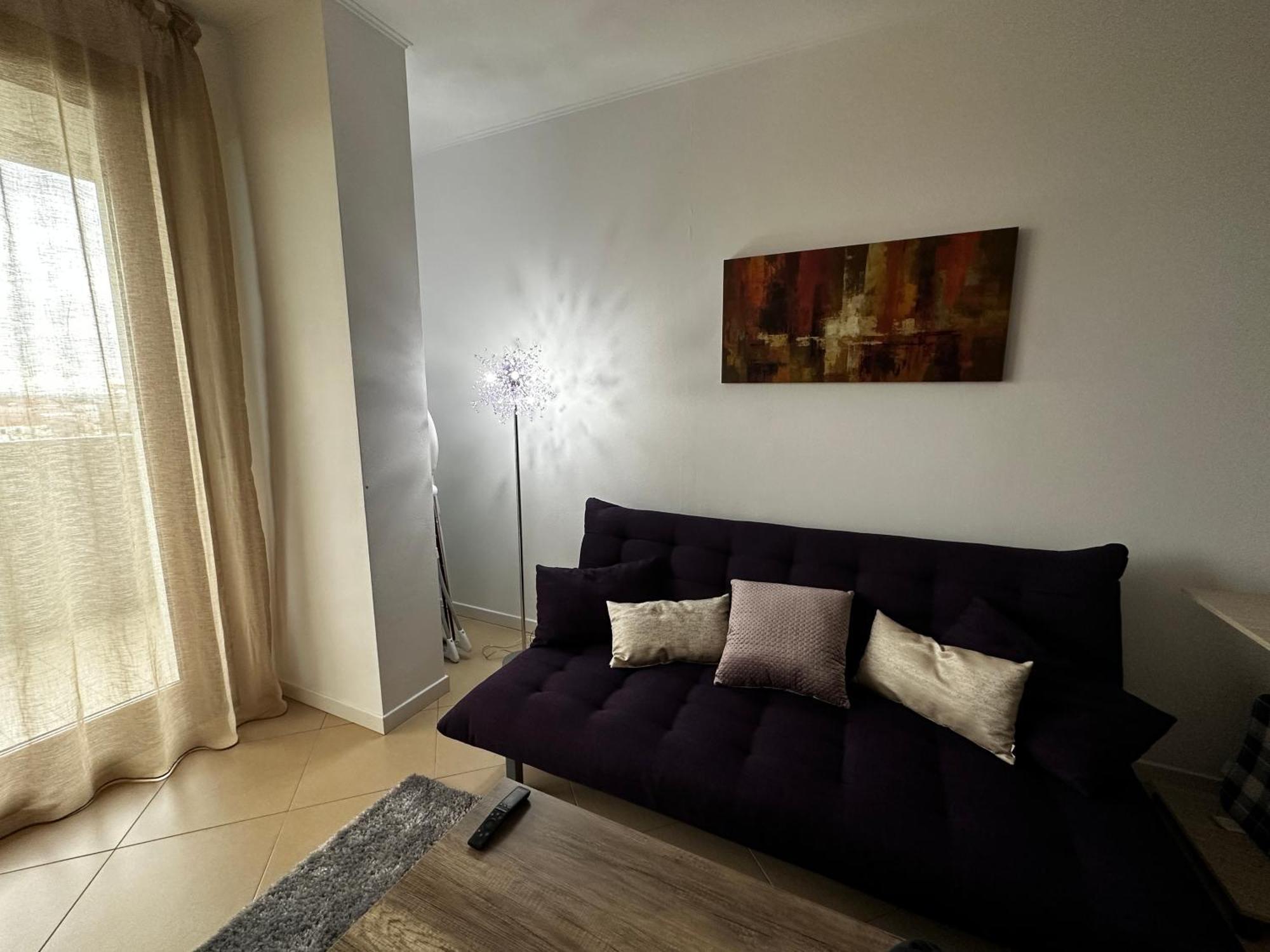 Central Apartment 蒂米什瓦拉 外观 照片