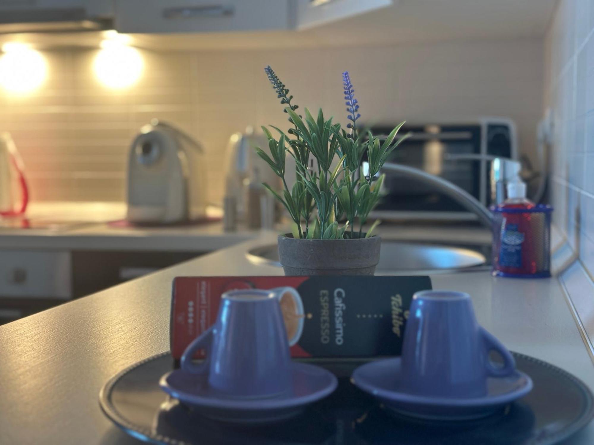 Central Apartment 蒂米什瓦拉 外观 照片