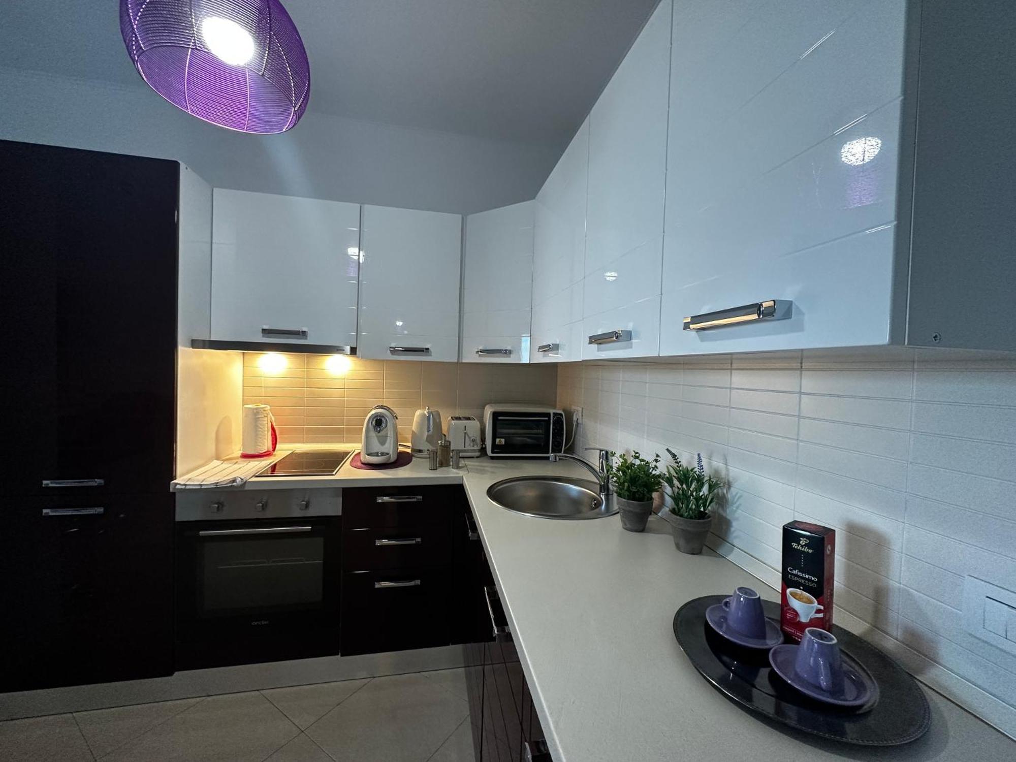 Central Apartment 蒂米什瓦拉 外观 照片