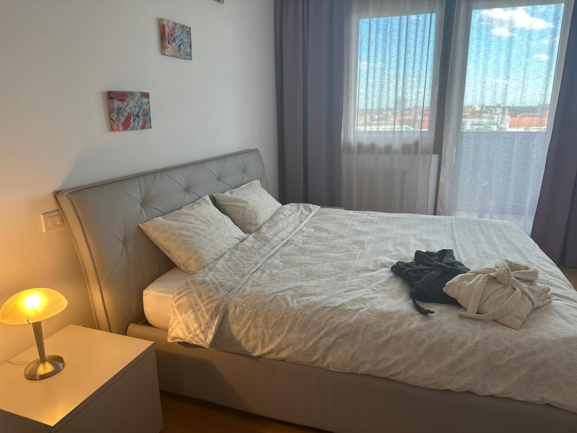 Central Apartment 蒂米什瓦拉 外观 照片